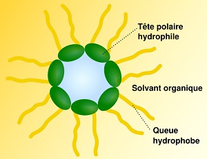 schema micelle huile 300