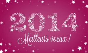 voeux 2014