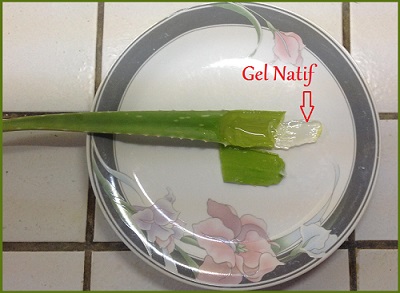 aloe-coupe-gel-natif-400x293