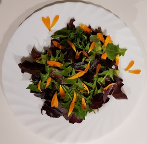 salade-soucis-300x294